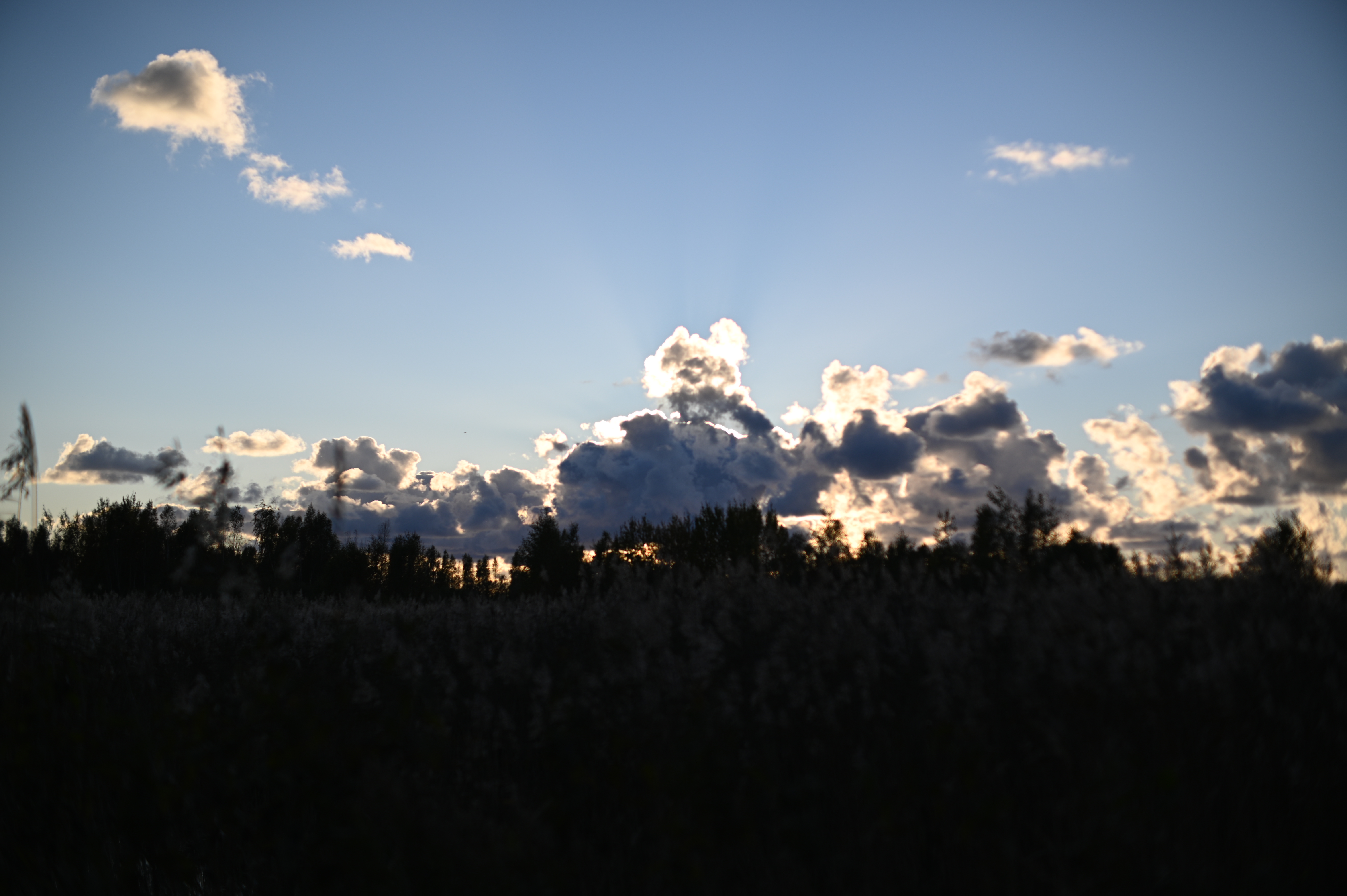 2025/10/18 - walk/DSC_0200.JPG